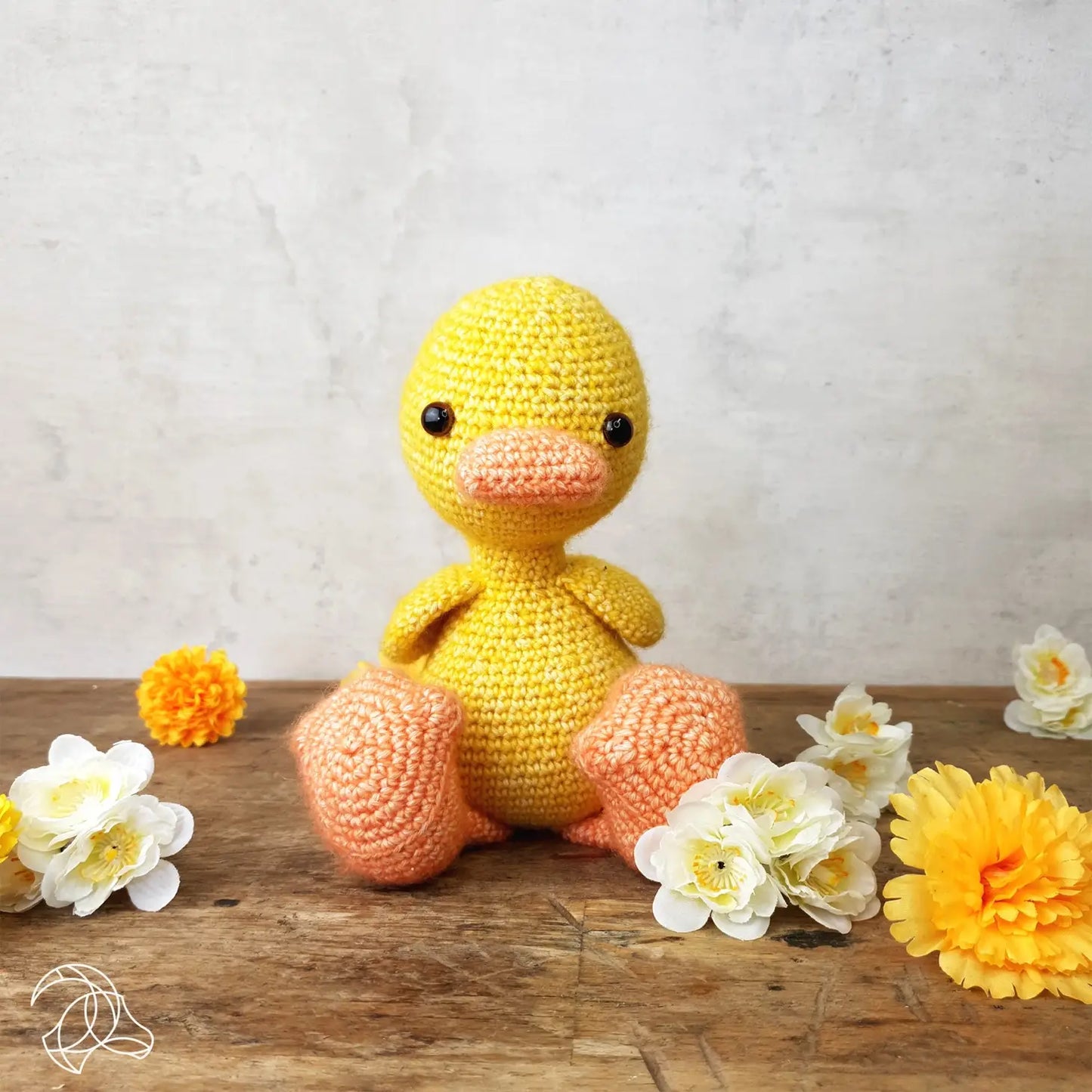 Canard - Kit Crochet Complet