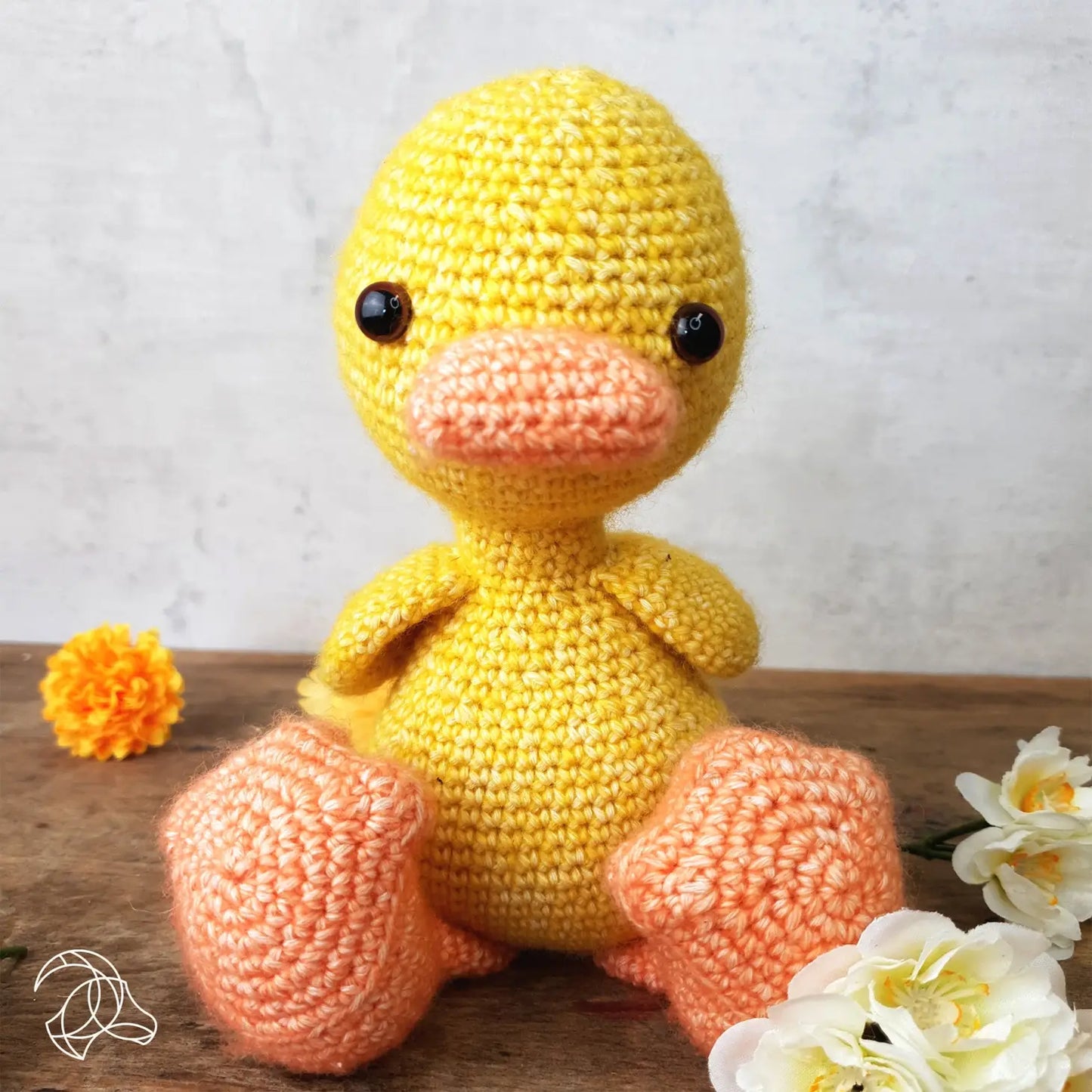 Canard - Kit Crochet Complet