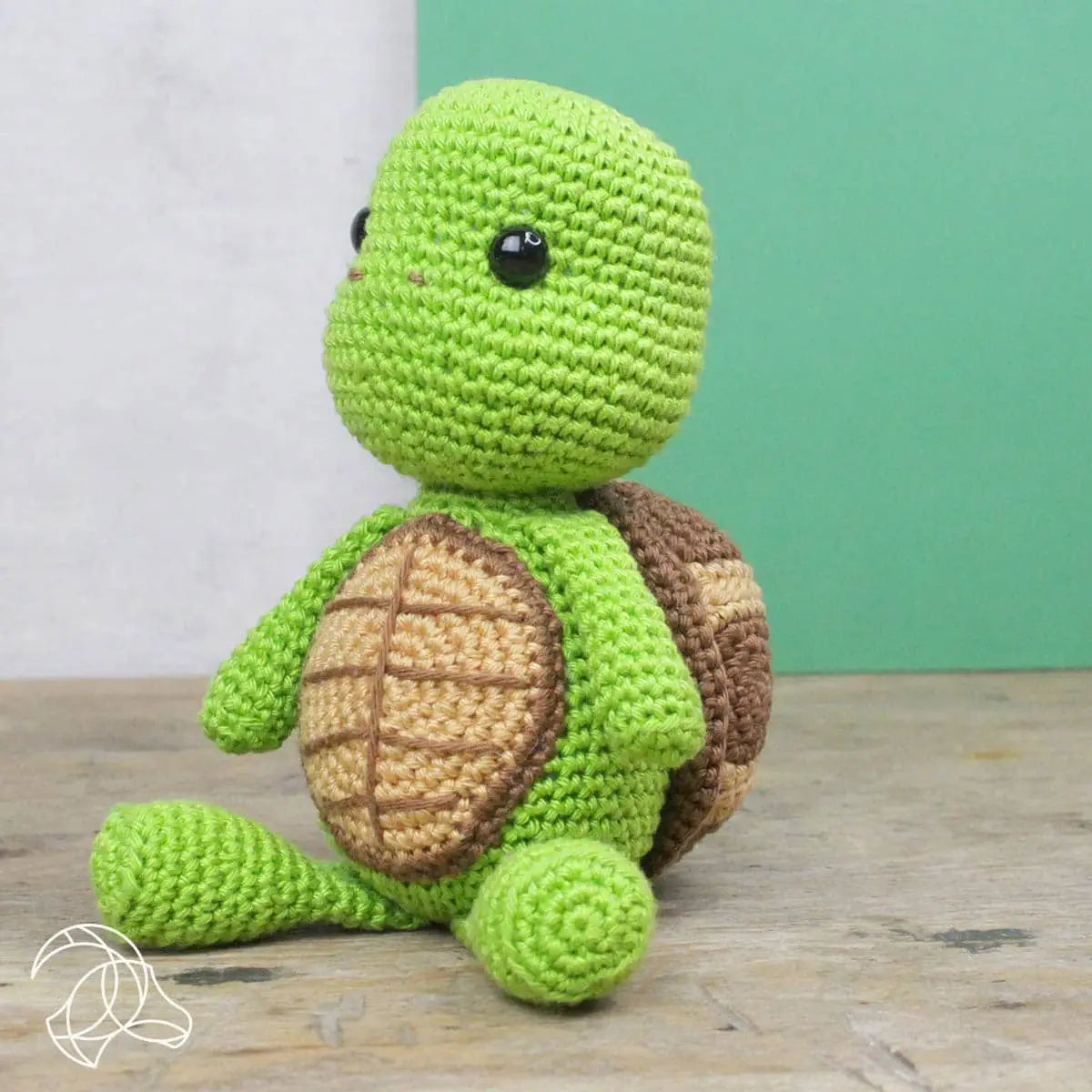 Tortue - Kit Crochet Complet