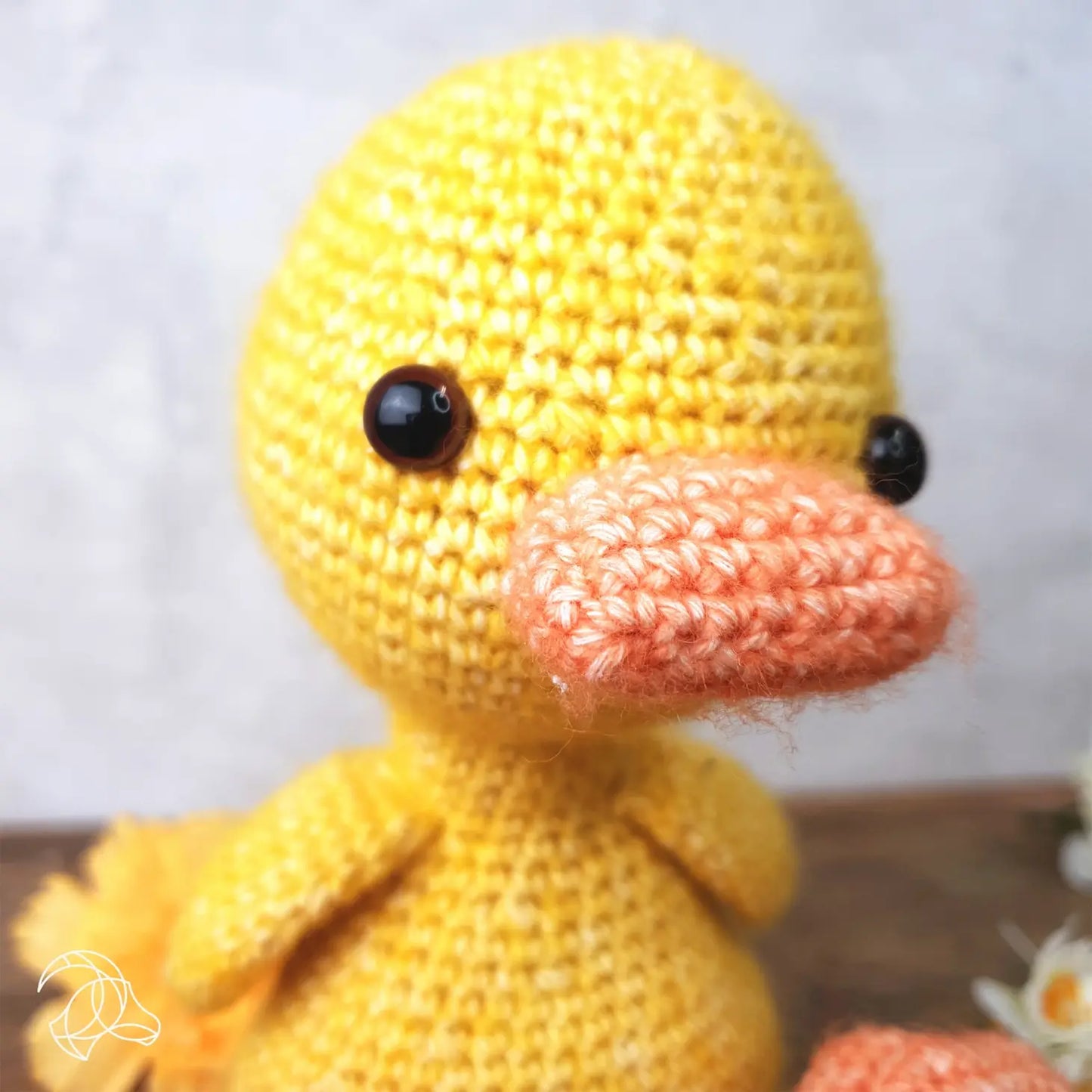Canard - Kit Crochet Complet