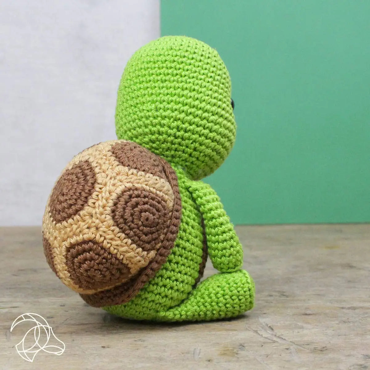 Tortue - Kit Crochet Complet